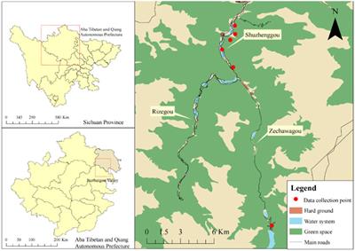 Examining the audiovisual therapy effects on hospital groups of varying linear canopy landscapes and those with hydrodynamic forces